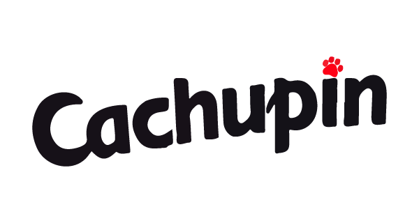 CACHUPIN