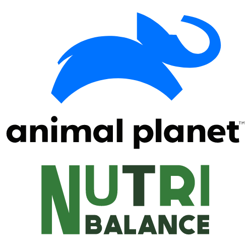 ANIMAL PLANET NB