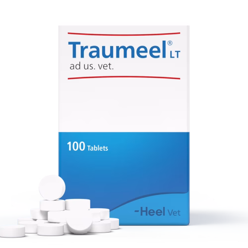 TRAUMEEL (100 COMPRIMIDOS)