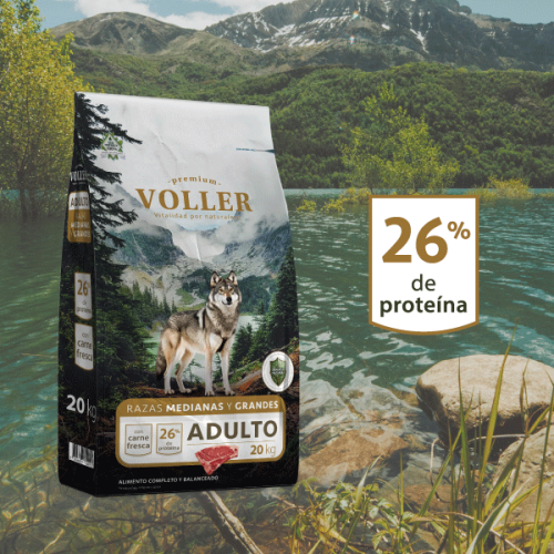 VOLLER ADULTO 20KG