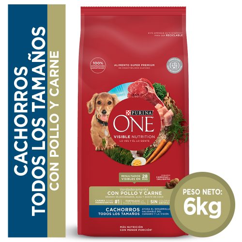 PURINA ONE CACHORRO 2KG